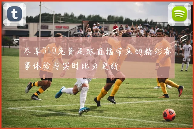 尽享310免费足球直播带来的精彩赛事体验与实时比分更新