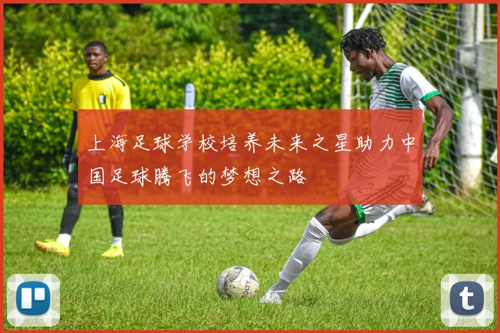 上海足球学校培养未来之星助力中国足球腾飞的梦想之路